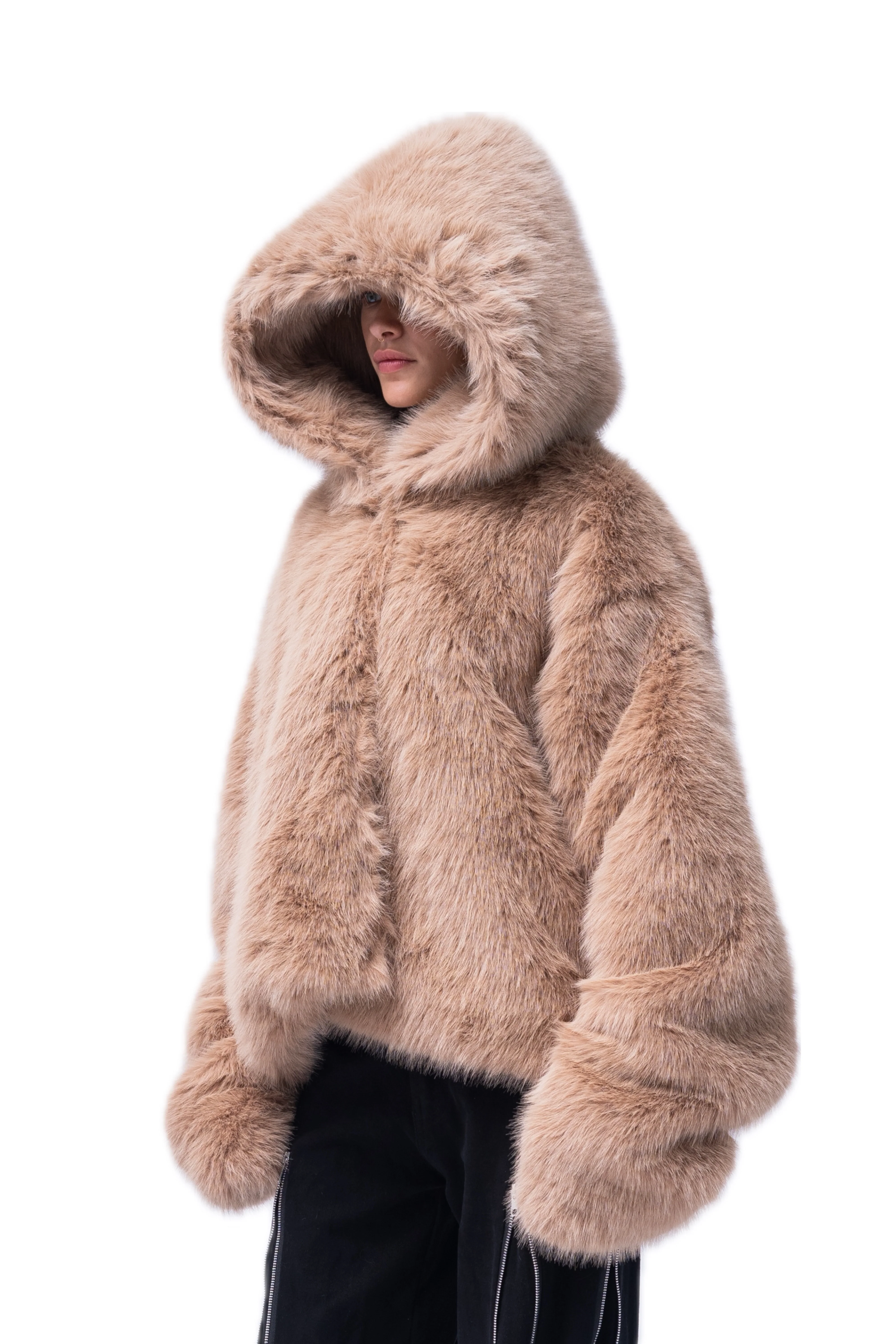 Fall/Winter 2025 Catalog